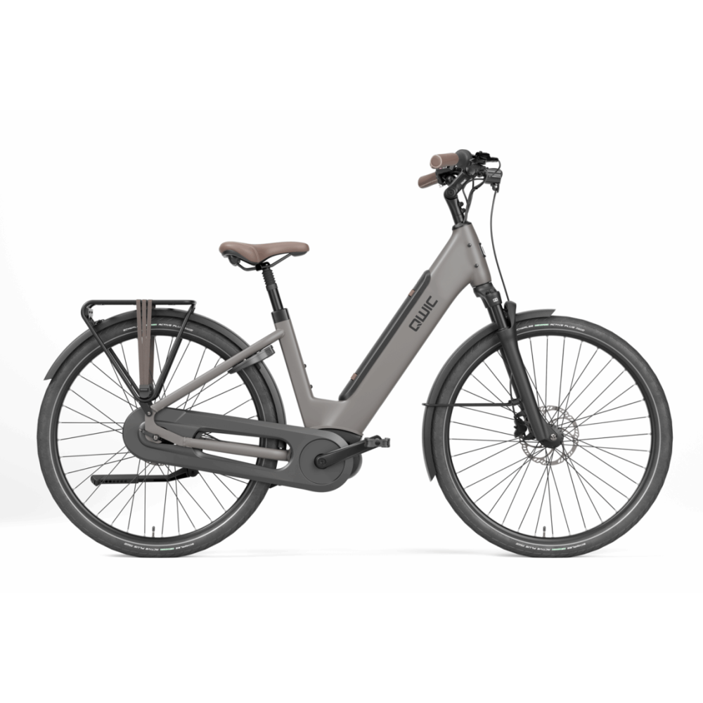 Qwic Elan Daily 2026